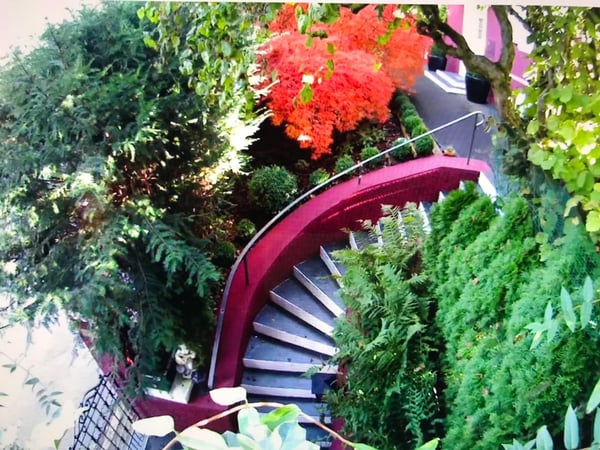 Historische Villa mit grosszügigem Garten in Winterthur 3