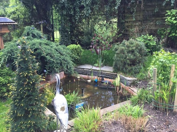 Historische Villa mit grosszügigem Garten in Winterthur 6