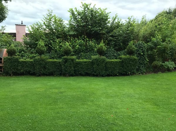 Historische Villa mit grosszügigem Garten in Winterthur 7