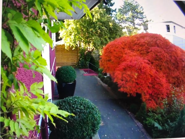 Historische Villa mit grosszügigem Garten in Winterthur 10