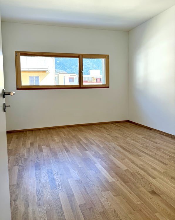 Bellinzona – Comfort, modernità e tranquillità a 5 minuti a piedi dal centro 19