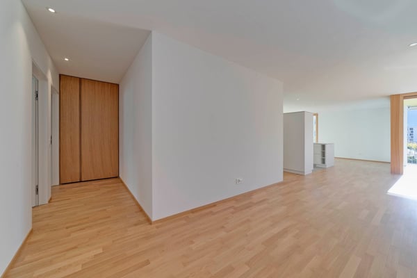 Bellinzona – Comfort, modernità e tranquillità a 5 minuti a piedi dal centro 15