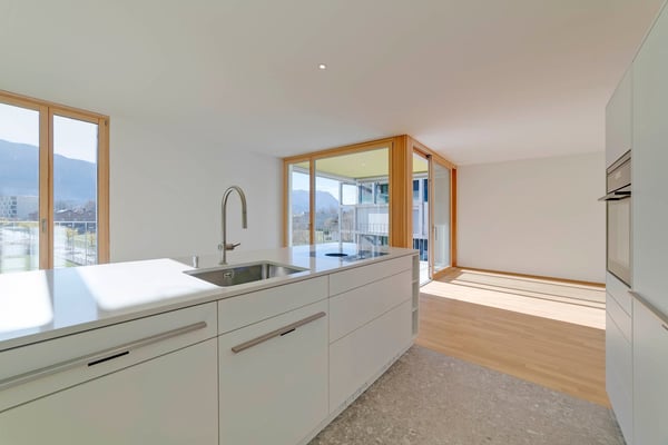 Bellinzona – Comfort, modernità e tranquillità a 5 minuti a piedi dal centro 5