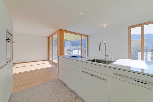 Bellinzona – Comfort, modernità e tranquillità a 5 minuti a piedi dal centro 4