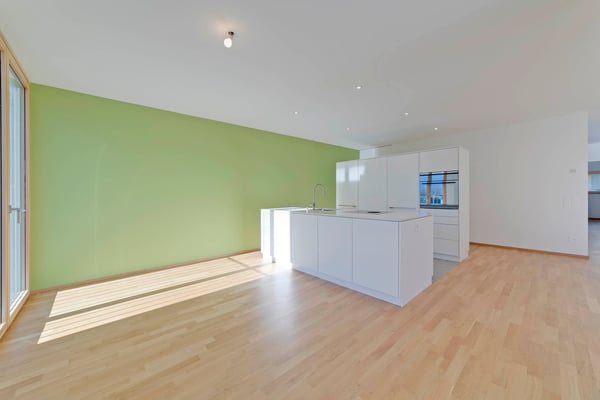 Bellinzona – Comfort, modernità e tranquillità a 5 minuti a piedi dal centro 8