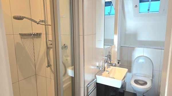 Total sanierte 1.5-Zimmer-Dachwohnung mit Fernblick auf Stadt und Berge in Bern-Kirchenfeld 21