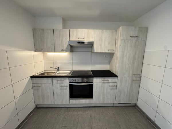 Studio rénové avec vue sur le lac – Au cœur de Lausanne 4