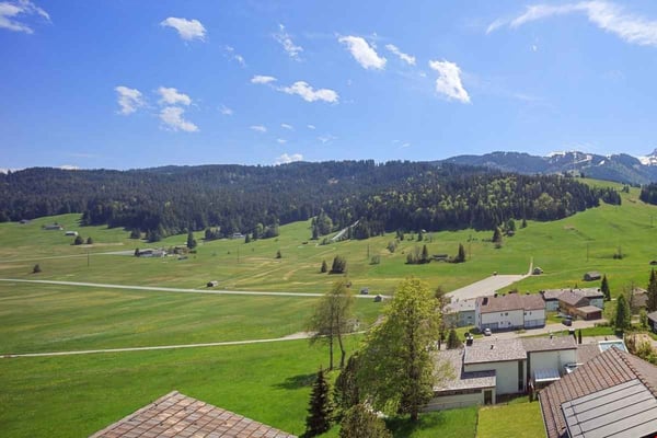 «ZENTRAL MIT UMBAUMÖGLICHKEIT GUTE RENDITE» 8