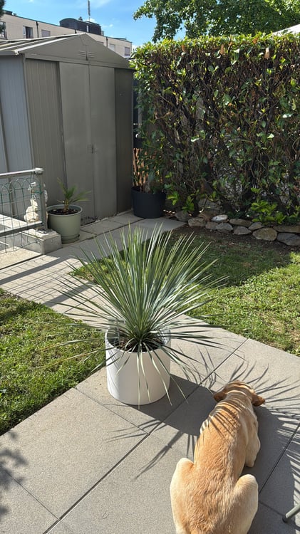 Charmant appartement 1.5 pièces avec jardin à Lausanne 2