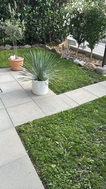 Charmant appartement 1.5 pièces avec jardin à Lausanne 4