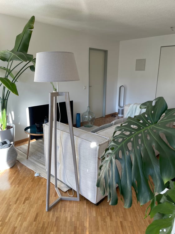 Charmant appartement 1.5 pièces avec jardin à Lausanne 10