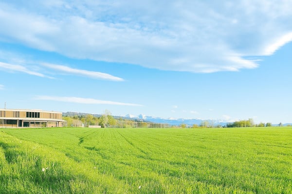 Vorschaubild der Immobilie