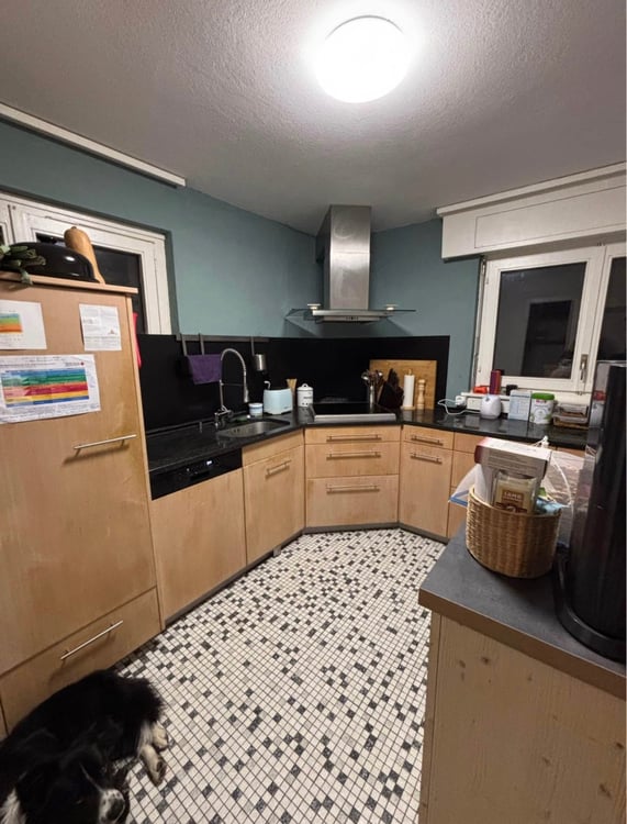 Charmant appartement de 1.5 pièces avec jardin à Fribourg 6