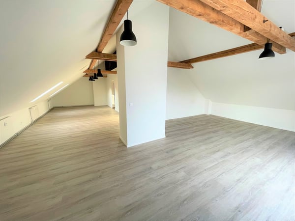 1.5 Zimmer Dachwohnung im Zentrum von Biel 1