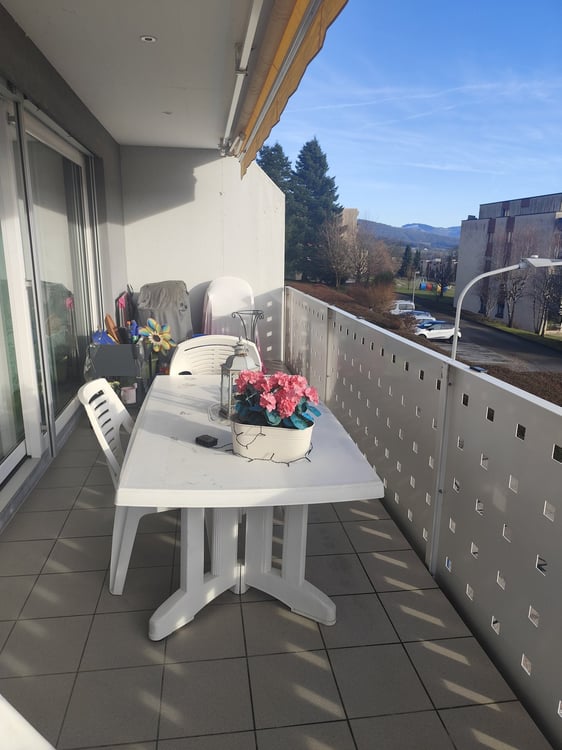 Bel appartement de 1.5 pièces avec vue dégagée à Delémont , déjà habité pendant 13 ans 3