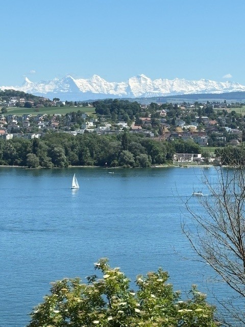 Exklusives Landhaus an Traumlage in Biel - Ein Wohntraum wird wahr! 4