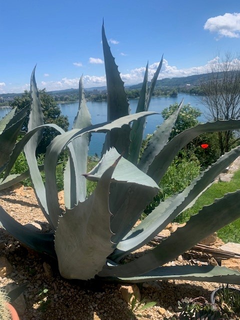 Exklusives Landhaus an Traumlage in Biel - Ein Wohntraum wird wahr! 3