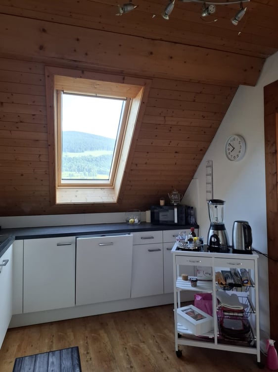 Charmante 1.5-Zimmer-Dachwohnung in ruhiger Lage in Niederbipp 2