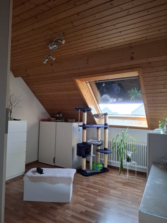 Charmante 1.5-Zimmer-Dachwohnung in ruhiger Lage in Niederbipp 10