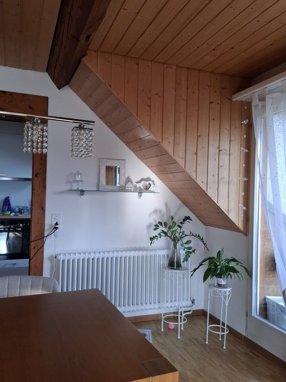 Charmante 1.5-Zimmer-Dachwohnung in ruhiger Lage in Niederbipp 4