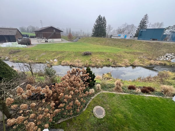 Helle 1.5-Zimmer-Wohnung mit Blick ins Grüne in Root 3