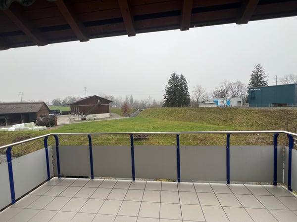 Helle 1.5-Zimmer-Wohnung mit Blick ins Grüne in Root 8