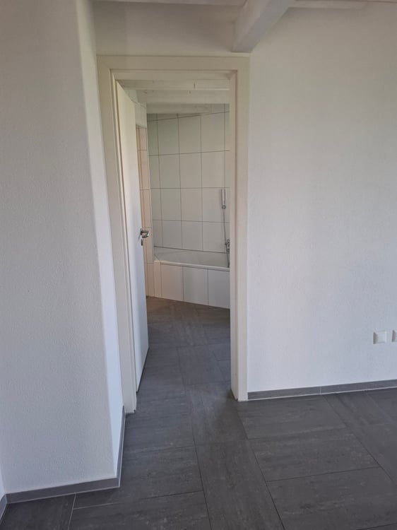 Grosszügige 1.5-Zimmer-Dachwohnung mit Bergblick in Marbach 19