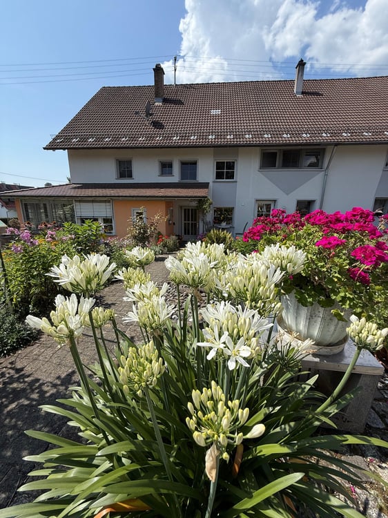 Sehr schönes Bauernhaus (ca. 1.325 m² Grund) plus Top-Baugrund mit ca. 2.303 m² inkl. Bauvorbescheid 5