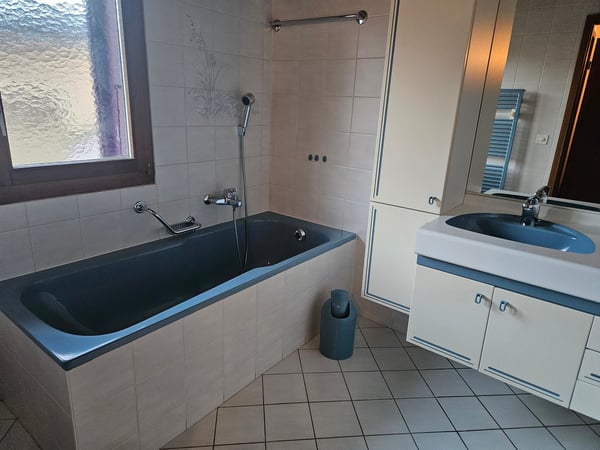 Charmante maison bifamiliale 1.5 pièces à Riddes 12