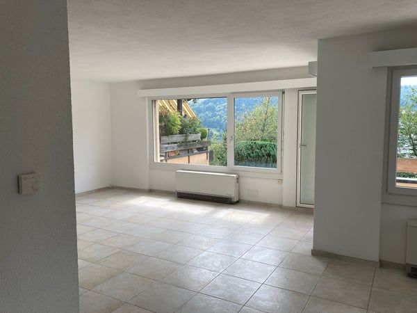 Doppeleinfamilienhaushälfte in Ebikon 3