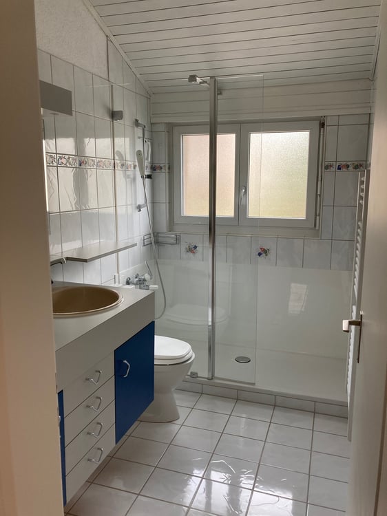 Doppeleinfamilienhaushälfte in Ebikon 5