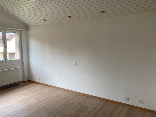 Doppeleinfamilienhaushälfte in Ebikon 4