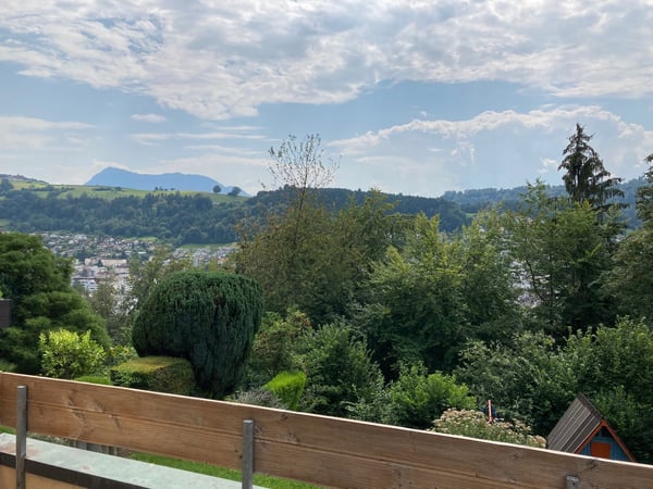 Doppeleinfamilienhaushälfte in Ebikon 1