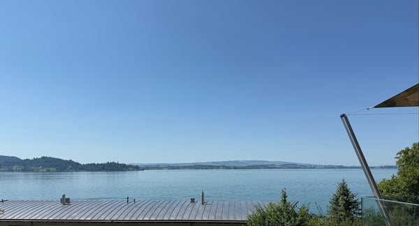 Exklusive Villa mit unverbaubarem See- & Bergblick – Oberwil bei Zug 9