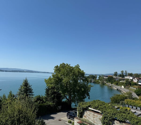 Exklusive Villa mit unverbaubarem See- & Bergblick – Oberwil bei Zug 2