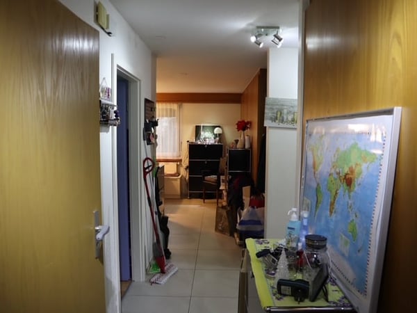 Charmantes Wohn- und Geschäftshaus im Zentrum von Thayngen 21