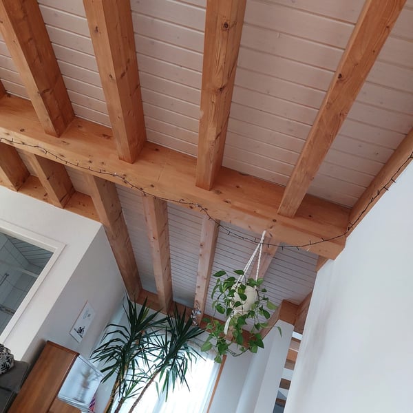 Charmantes 2.5-Zimmer-Einfamilienhaus mit Garten in Oberflachs 4