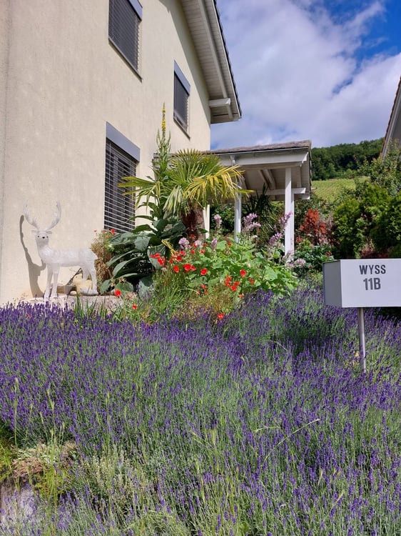 Charmantes 2.5-Zimmer-Einfamilienhaus mit Garten in Oberflachs 3