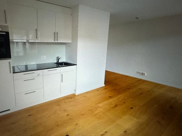 Moderne 1-ZWohnung mit Balkon in St. Gallen SUCHT NACHMIETER per ende Januar 2026 (oder Absprache) 1