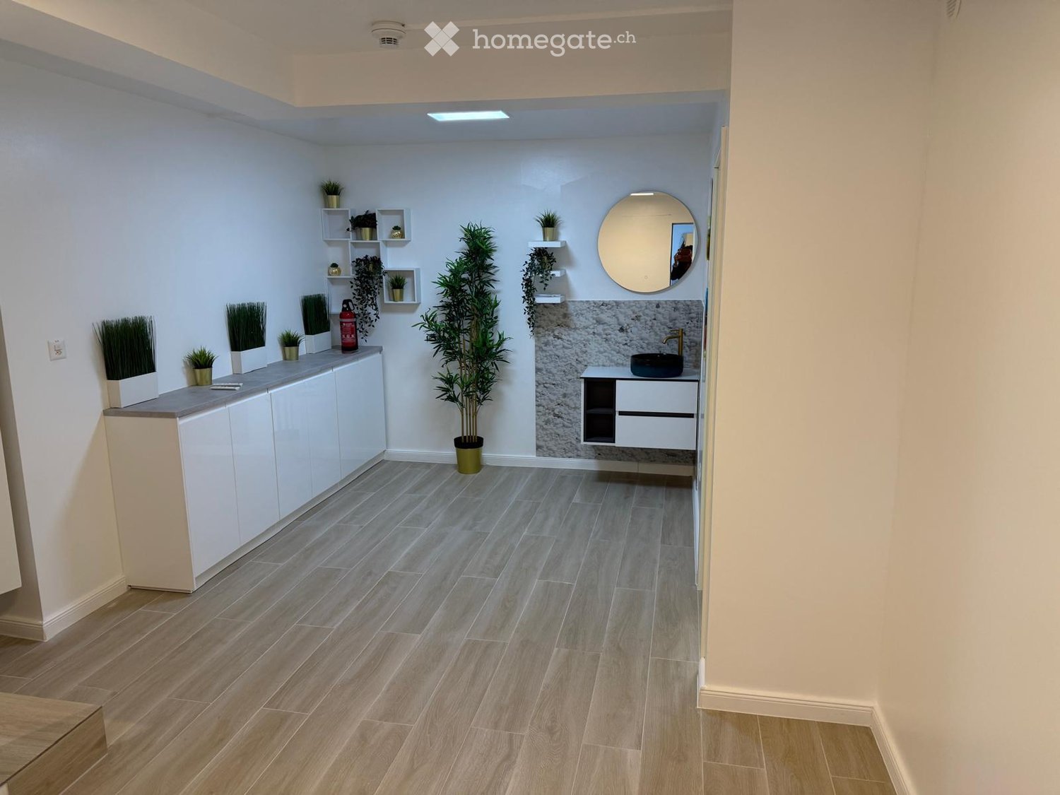 Empty room with white walls, wooden floor, and built-in white cabinets with plants, a mirror, and a sink on the right side.