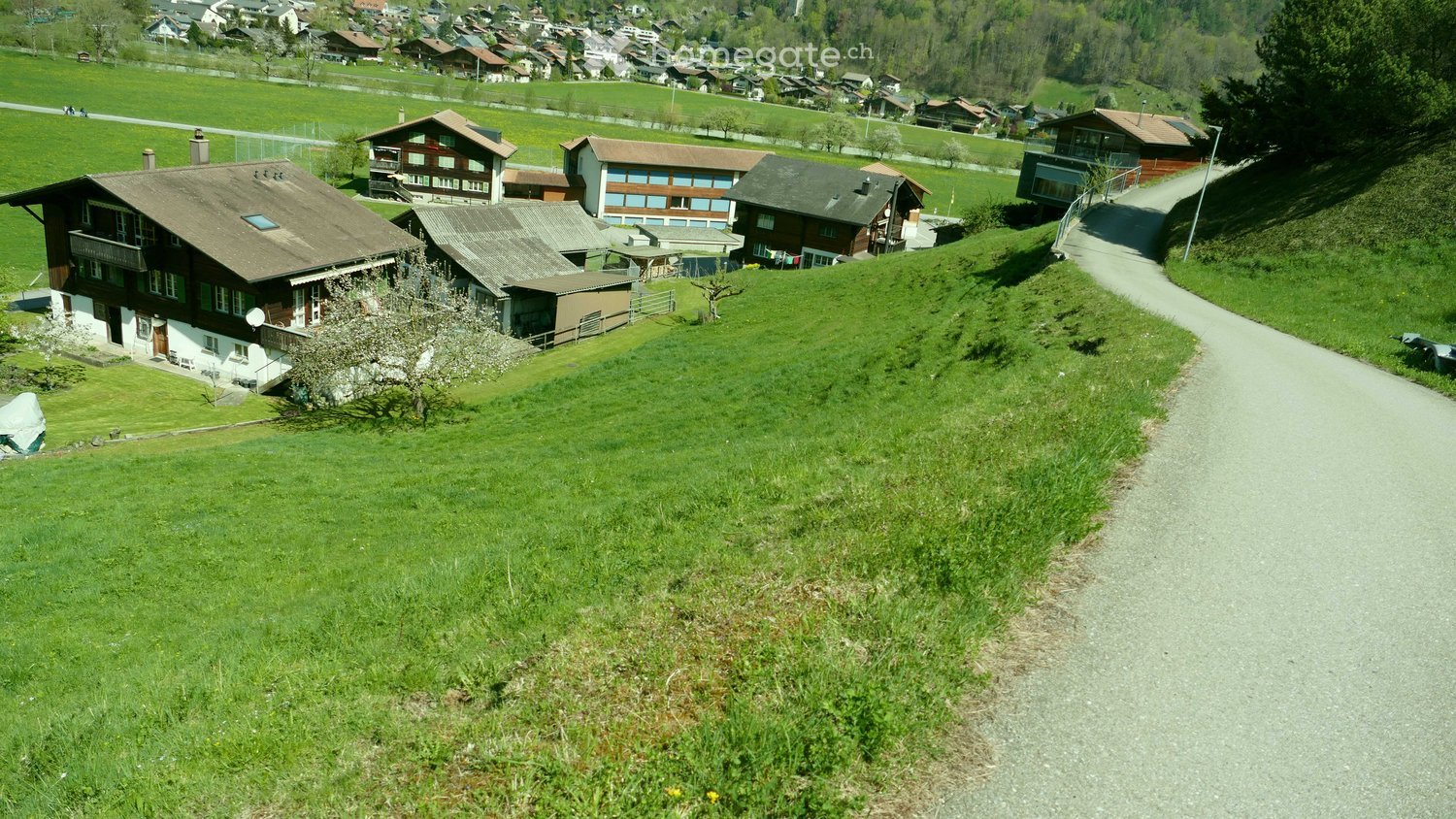 Swiss-style houses, brown roofs, white walls, surrounded by green fields and trees, pathway leading to the houses