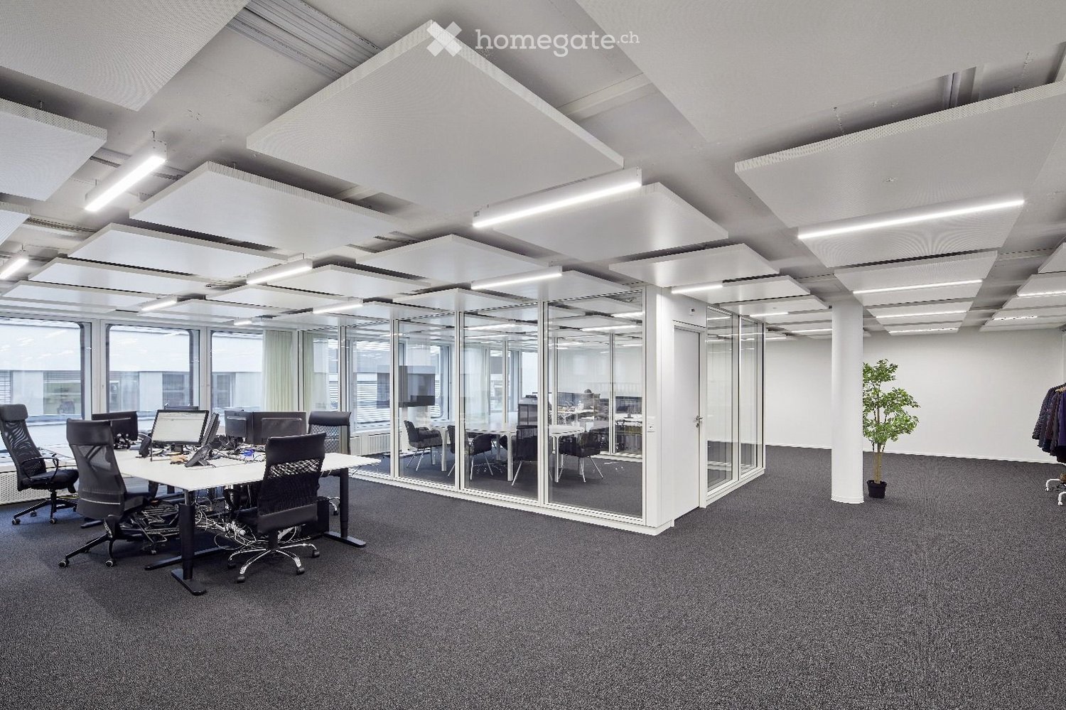modern office with glass walls, grey carpeting, tables, chairs, large windows, ceiling lights, potted plant, interior design elements