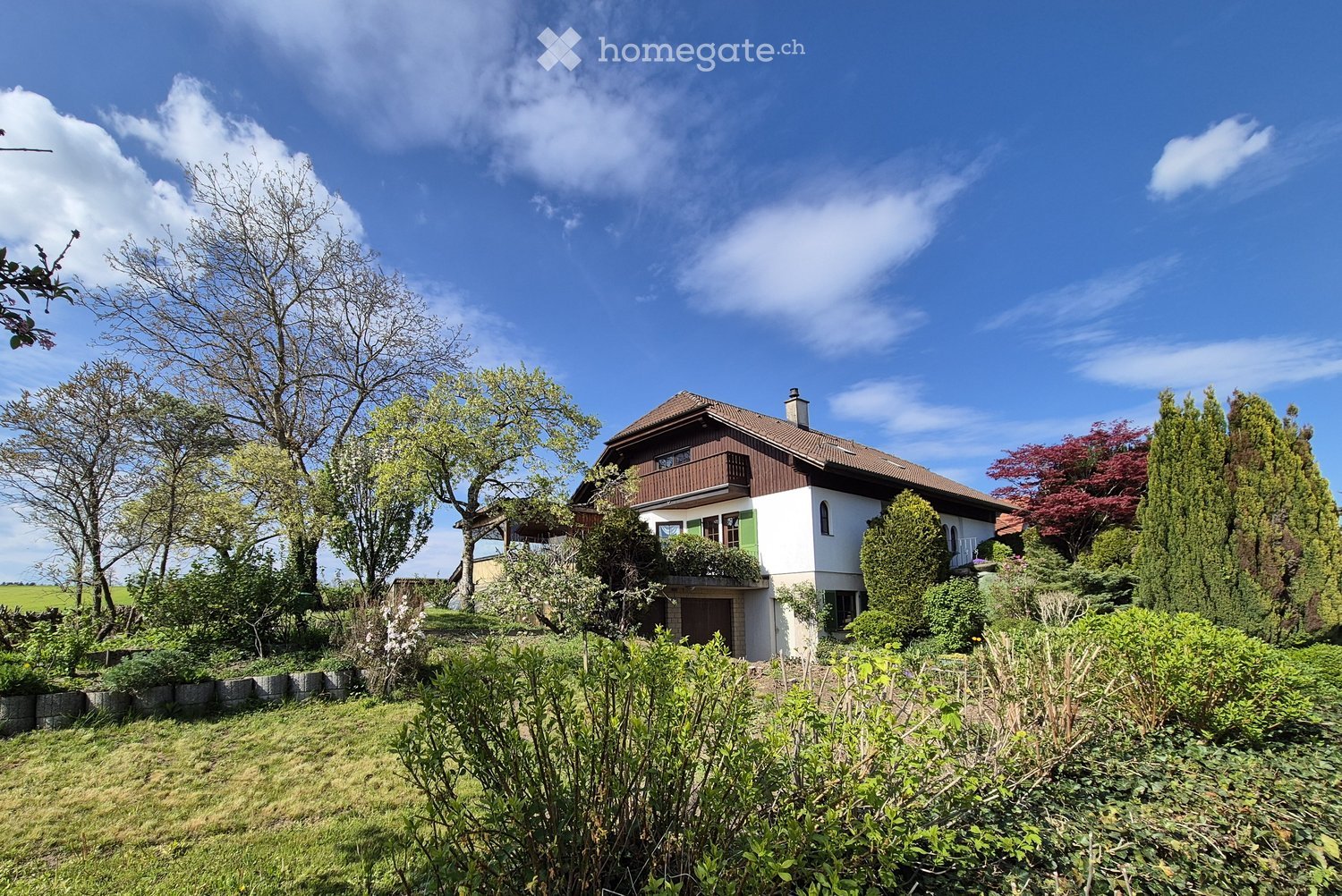 Immobilie in Sonterswil - Freistehendes 6.5 Zimmer Einfamilienhaus an unverbaubarer Lage – direkt an der Landwirtschaftszone - Bild 2