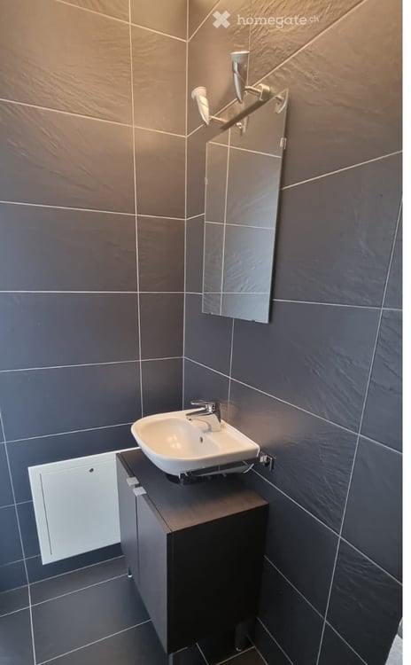 Magnifique maison familiale de 5.5 pièces (4 chambres fermées et 3 salles d'eau) près de Gimel. 6