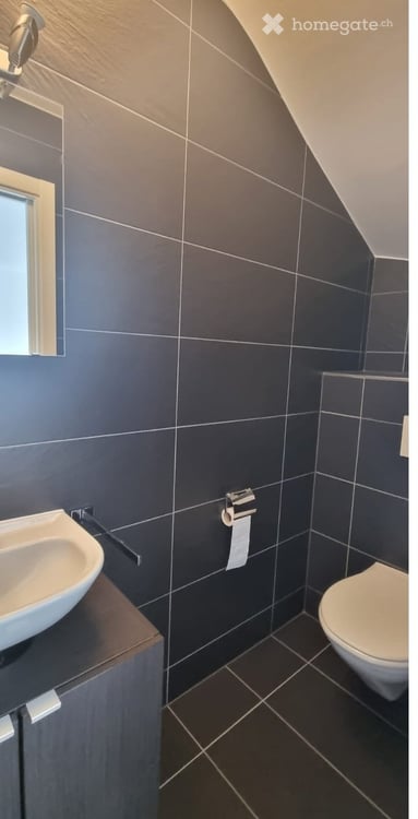 Magnifique maison familiale de 5.5 pièces (4 chambres fermées et 3 salles d'eau) près de Gimel. 5