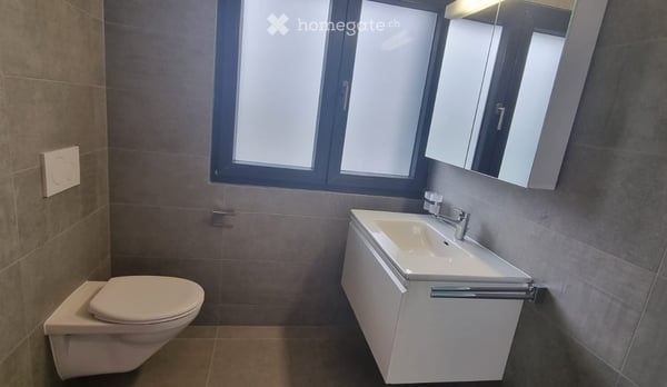 Magnifique maison familiale de 5.5 pièces (4 chambres fermées et 3 salles d'eau) près de Gimel. 12