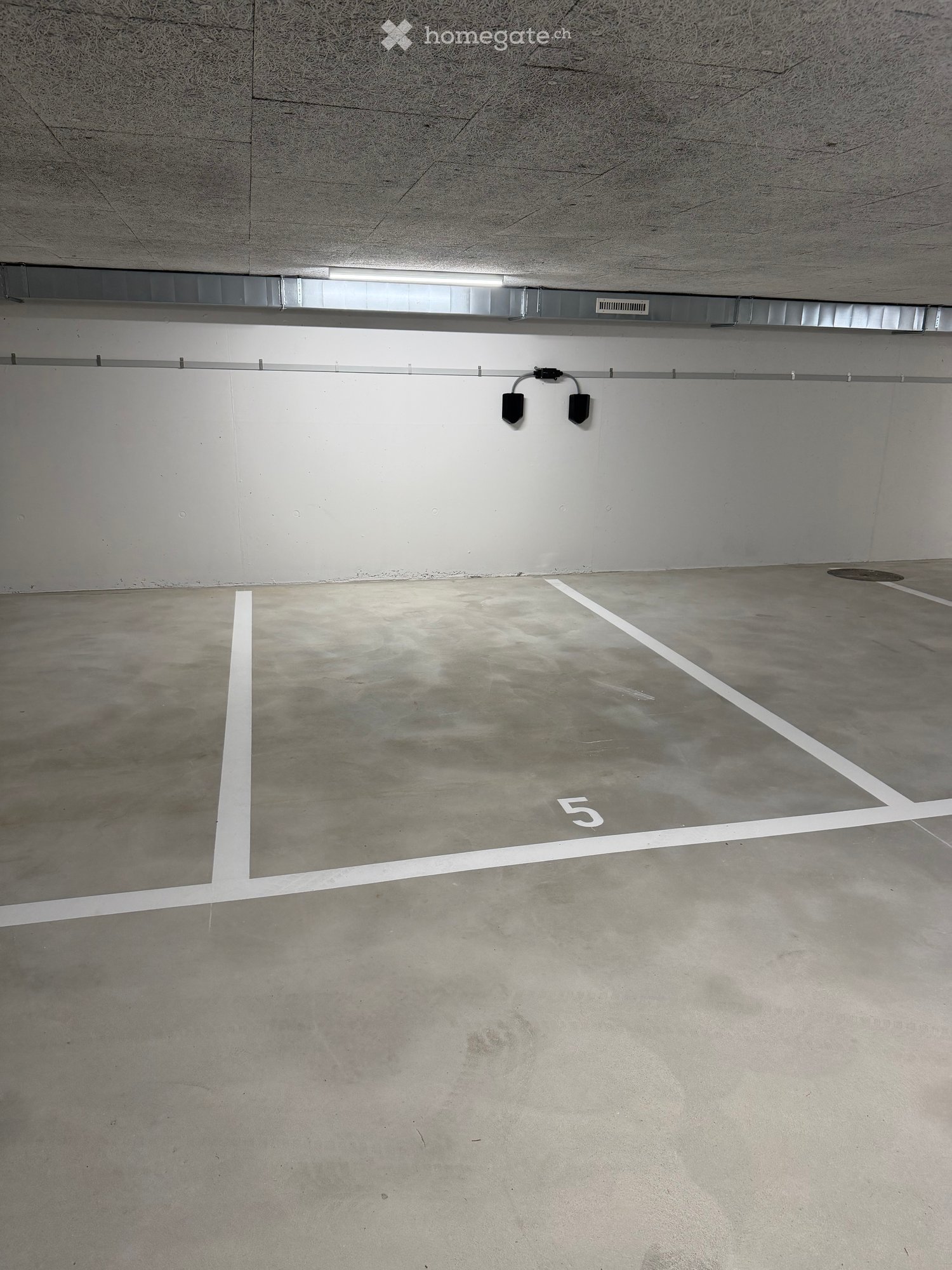 Other. {"type": "Parking place", "objects": [], "description": "Empty underground parking space with concrete floor, white painted parking lines, and numbered spot '5'.", "localized_descriptions": {"EN": "Empty underground parking space with concrete floo