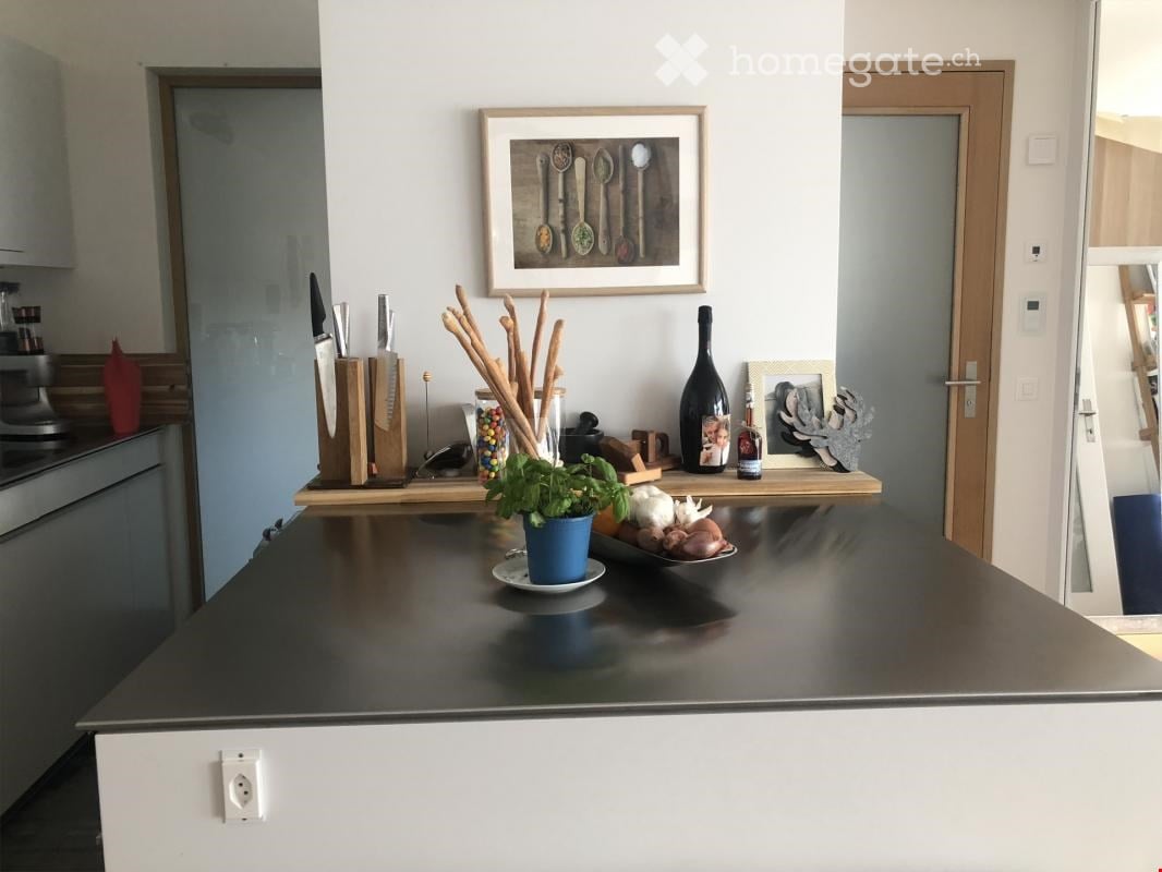 Kitchen. Modern kitchen with a black countertop, knife block, cutting board, decorative bottle, framed picture, potted plant, and various kitchen items on the counter.