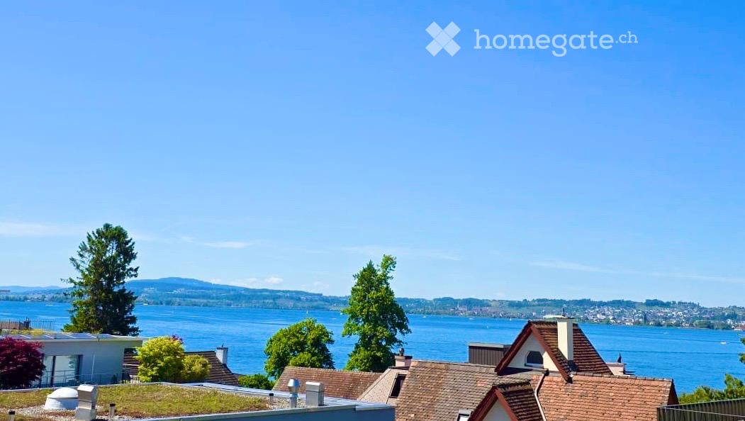 View of a residential area with houses, trees, and a lake in the background under a clear blue sky.