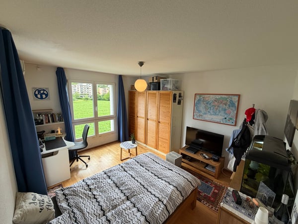 Moderne 4.5-Zimmer - Dachwohnung an ruhiger Lage in Wetzikon 10